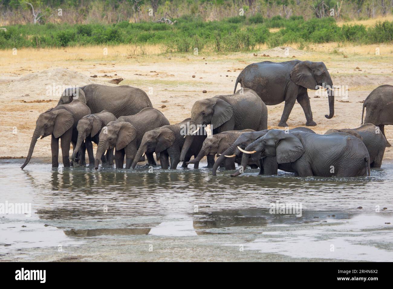 Hwange National Park, Zimbabwe