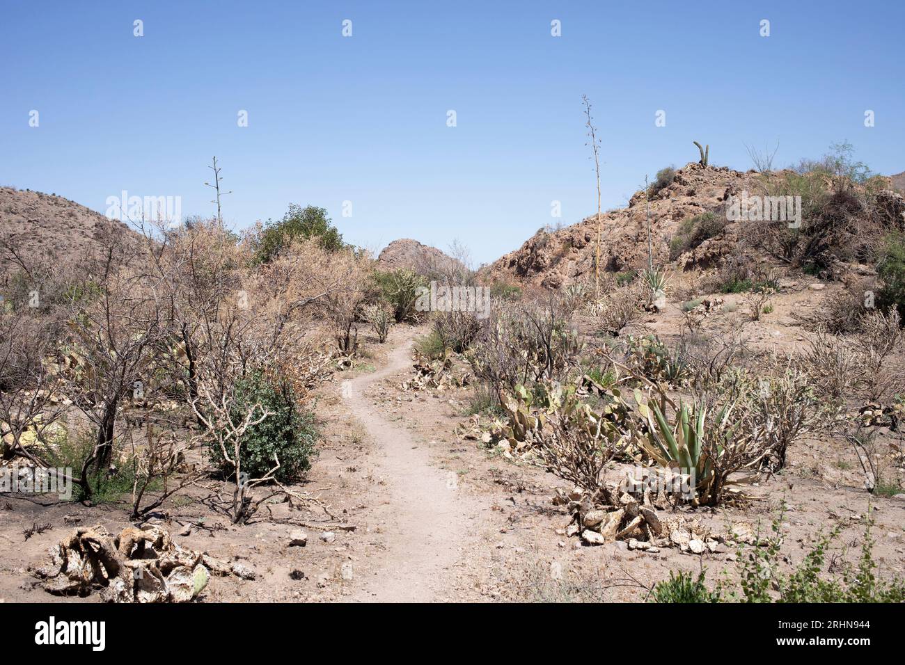 Trail through barren desert landscape Stock Photo - Alamy