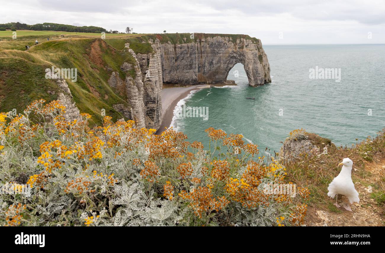 view to the Alabaster coast in Etretat in the Normandy Stock Photo