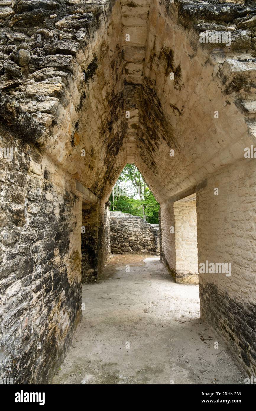 A corbel arch or corbel vault in Structure A2 in the Mayan ruins in the