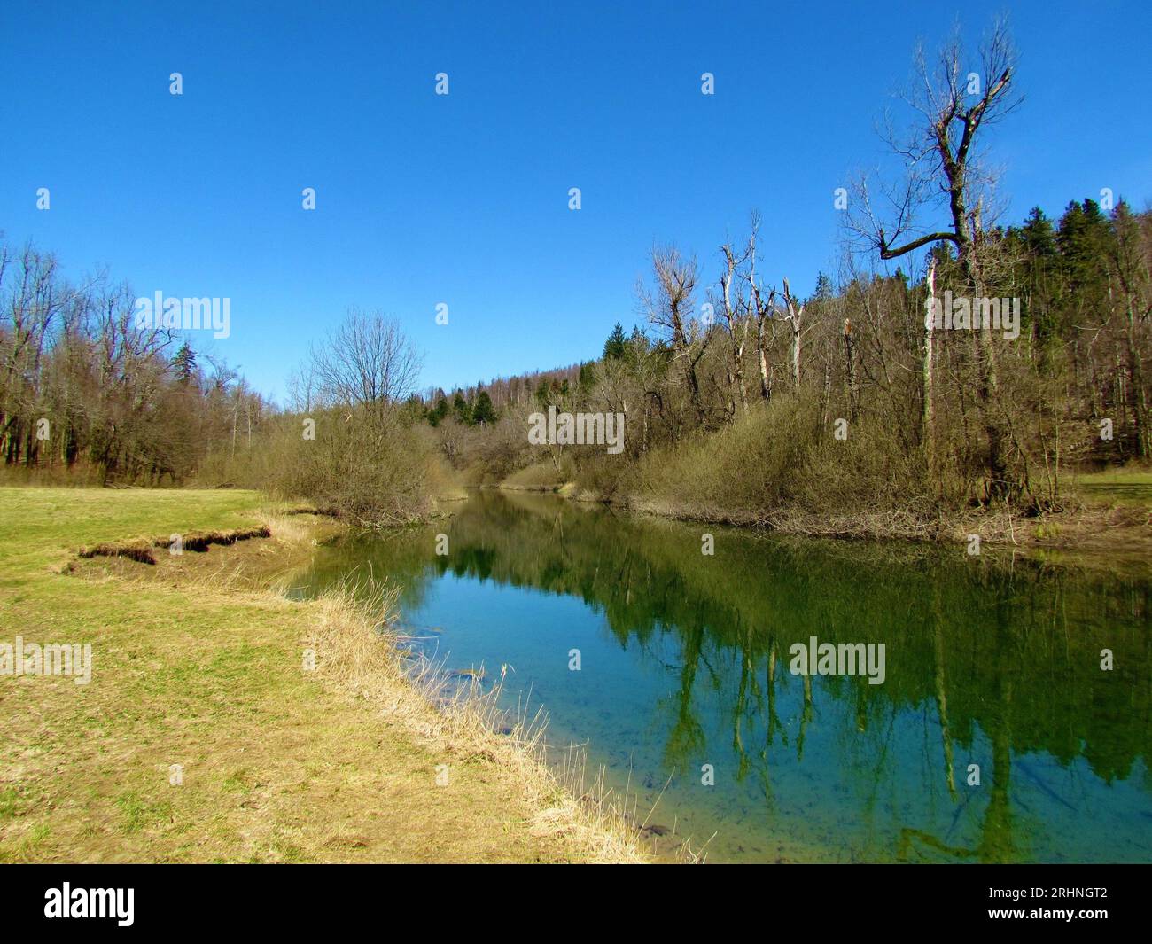 Scenic river Rak in Rakov Skocjan Notranjska, Slovenia with a meadow on one side and a forest on the other and a reflection of the trees in the river Stock Photo