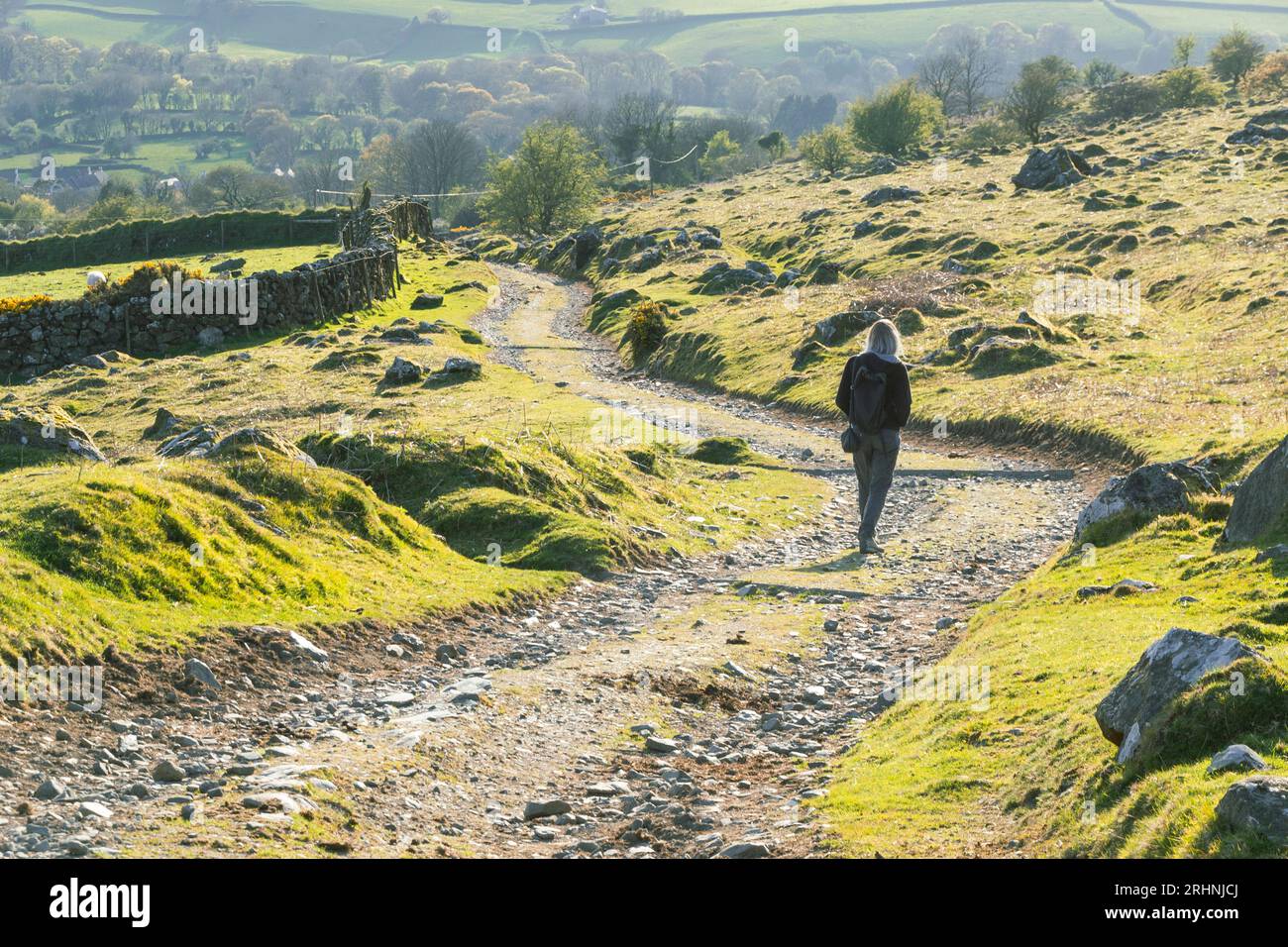 A middle aged woman enjoys a walk on Dartmoor National Park in good spring weather in April Stock Photo