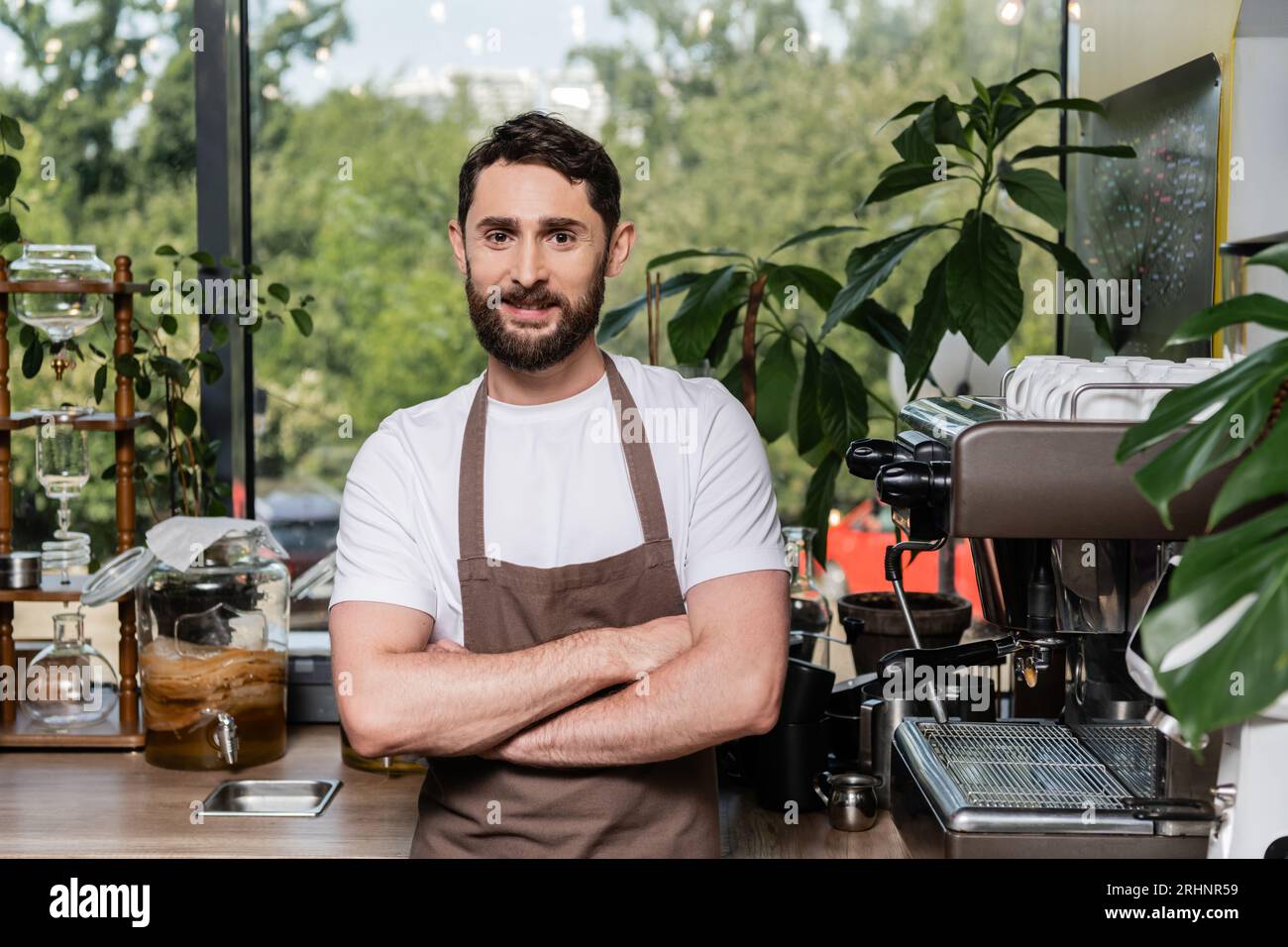 https://c8.alamy.com/comp/2RHNR59/positive-bearded-barista-in-apron-crossing-arms-and-looking-at-camera-while-working-in-coffee-shop-2RHNR59.jpg