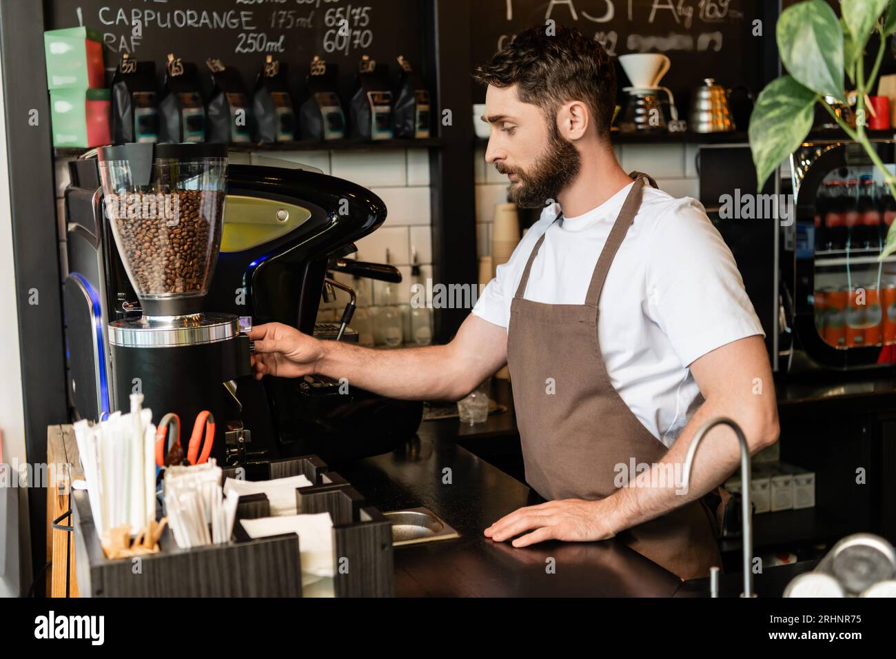 bearded barista in apron using coffee grinder while working and