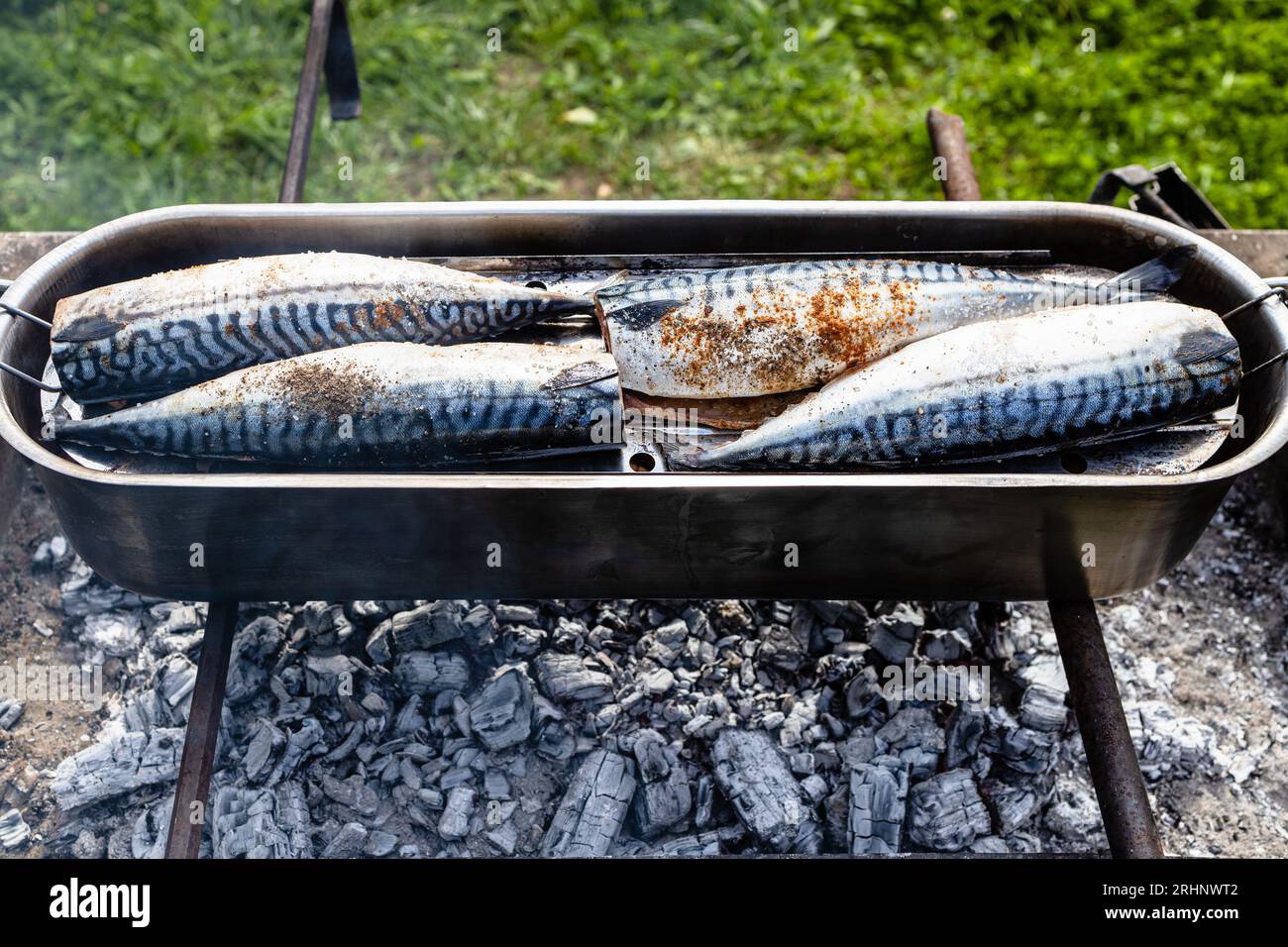 raw fish in open steel smoking pot on outdoor charcoal grill on summer