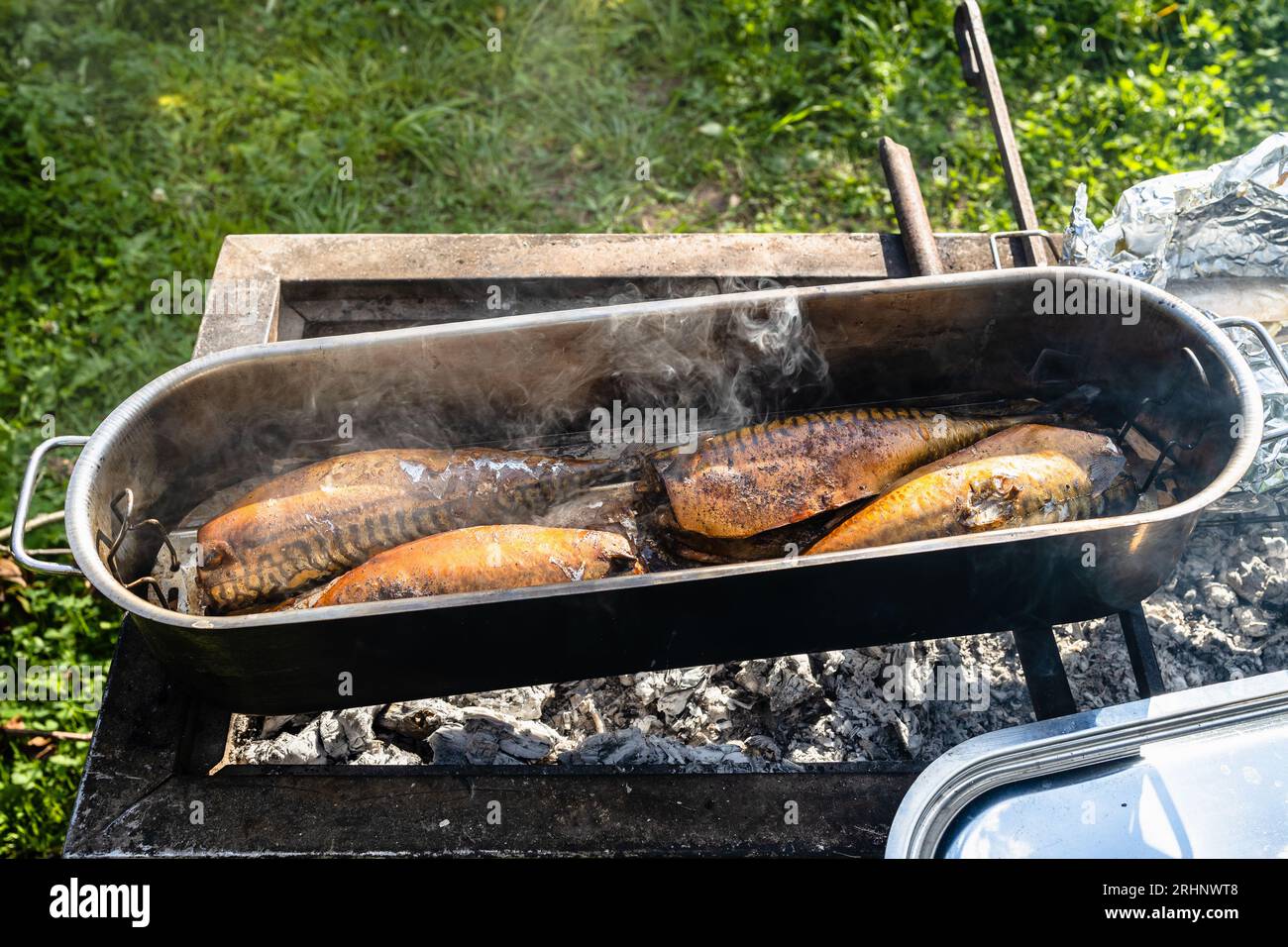 freshly smoked fish in smoking pot on outdoor charcoal grill on sunny