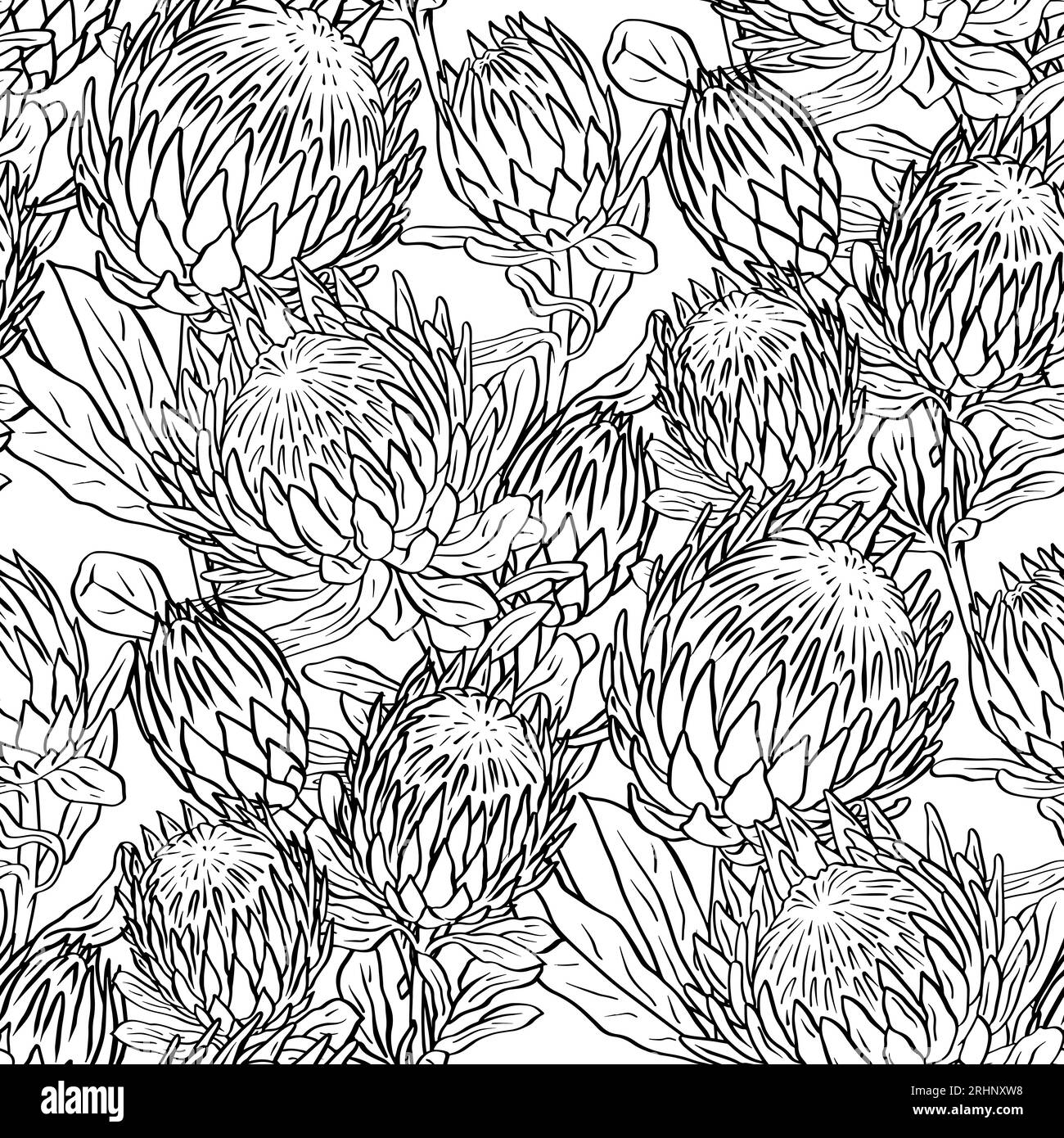 Black and white seamless pattern with line art protea flowers Stock ...