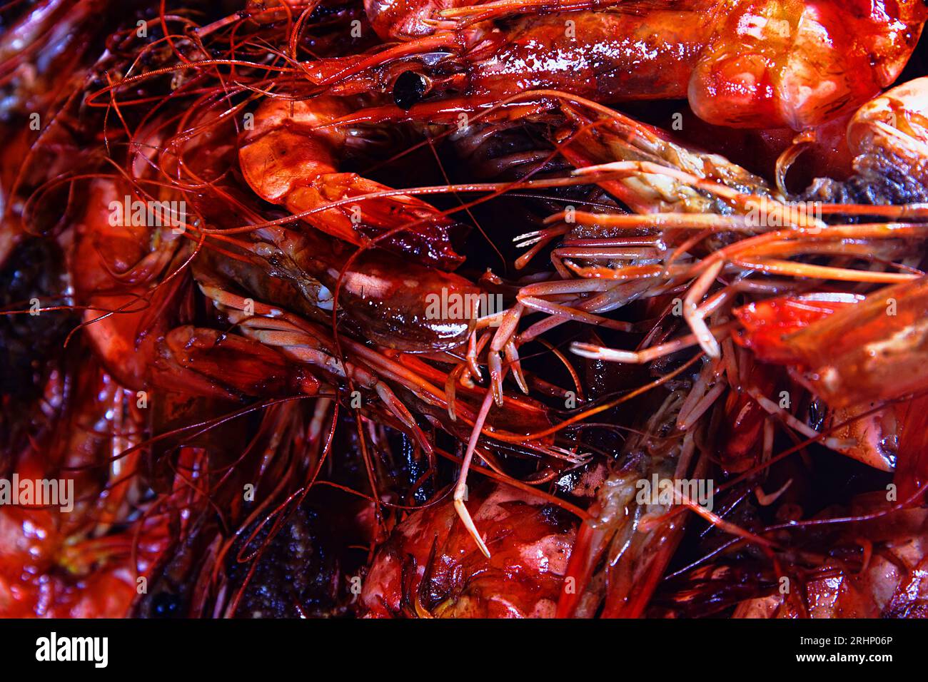 Oceanic freshly caught shrimp with caviar. Sri Lanka Stock Photo