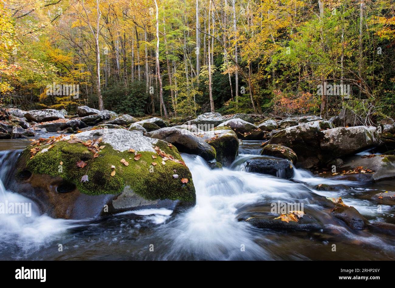 Middle Prong Little River, Great Smoky Mountains National Park - Sevier County, Tennessee. The Middle Prong Little River flows through a colorful autu Stock Photo