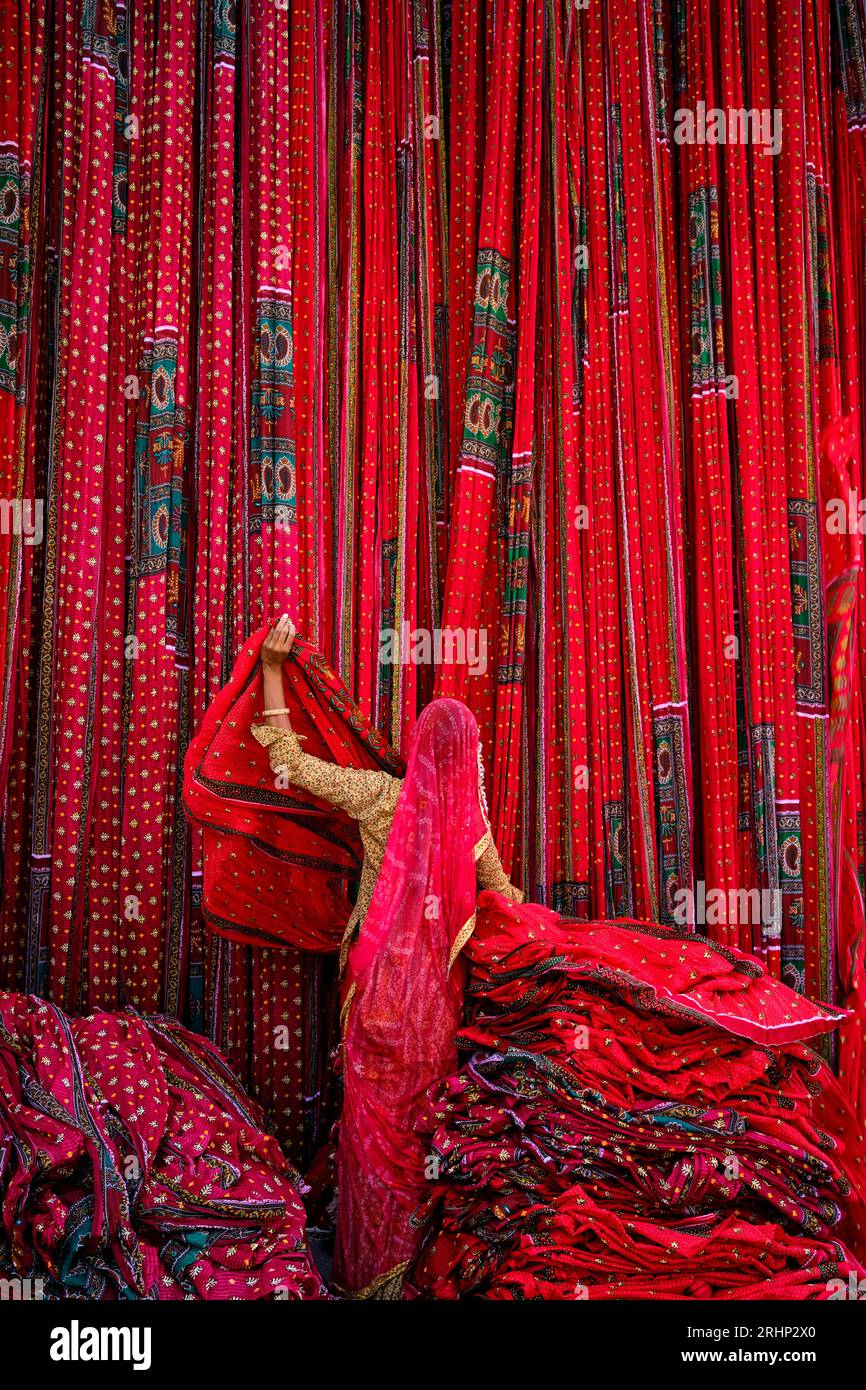 India, Rajasthan, Sari Factory, Textile are dried in the open air. Collecting of dry textile are folded by women Stock Photo