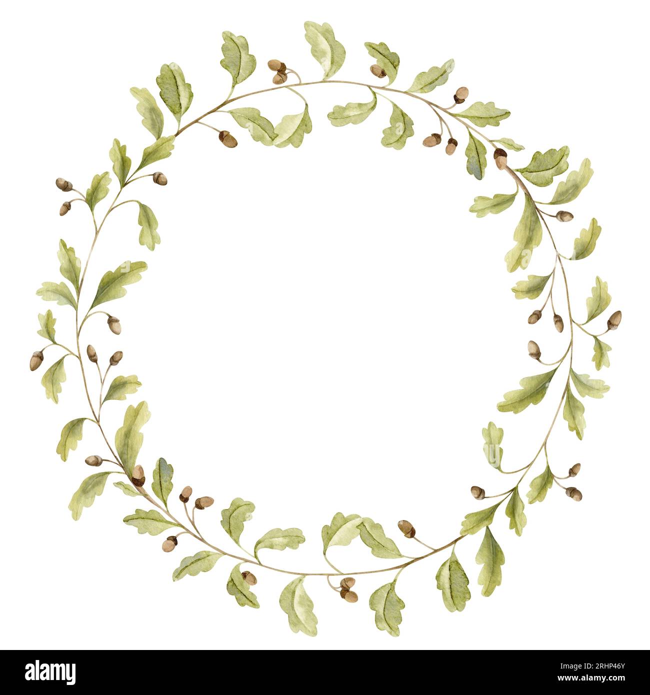 Oak branch Wreath. Hand drawn watercolor illustration of round Frame ...