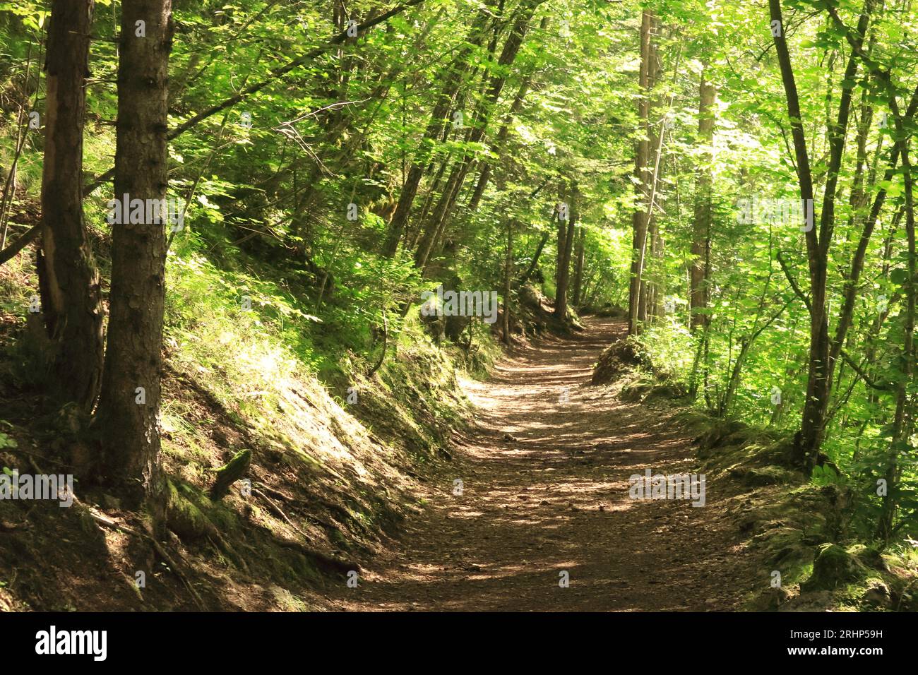 Alto adige localities hi-res stock photography and images - Alamy