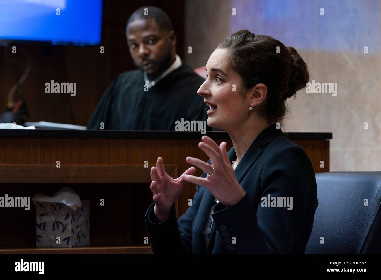 Forensic psychiatrist Dr. Lisa Anacker gives testimony about Ethan