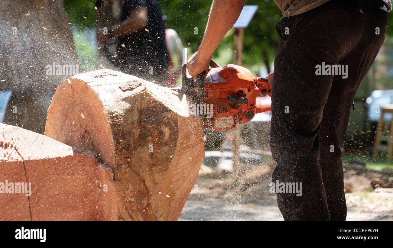 Diy wood carving hi-res stock photography and images - Alamy