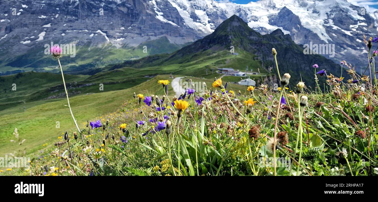 Switzerland landscape hi-res stock photography and images - Alamy