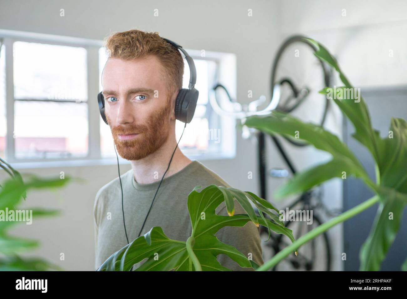 Portrait beard redhead man hi-res stock photography and images - Alamy