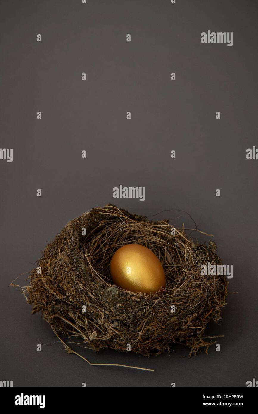 Egg in nest Stock Photo