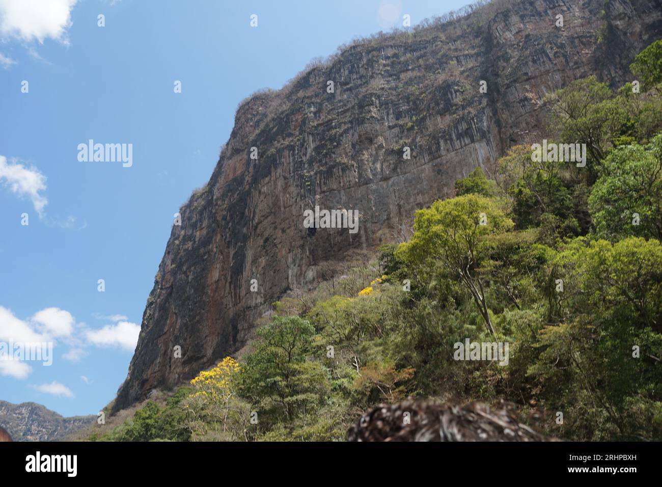 Mountain, sumidero canyon, hair, trees, vegetation, sky at chiapas, mexico Stock Photo