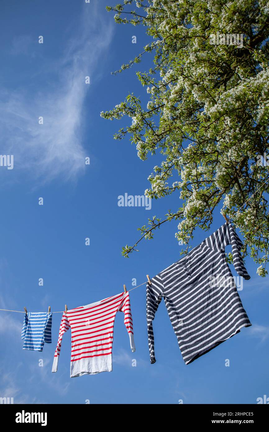 Laundry on clothesline Stock Photo Alamy