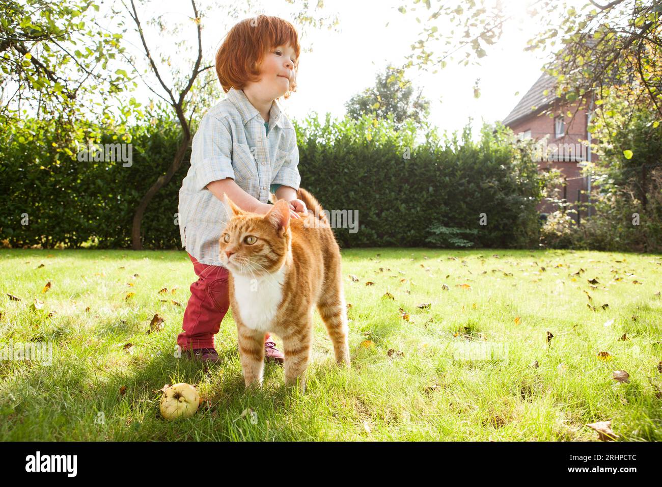 Child with cat Stock Photo