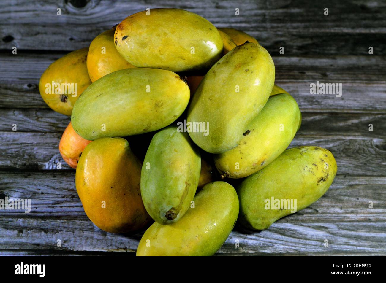 Pile of Egyptian fresh mango fruit with tropical delicacy, mangoes are