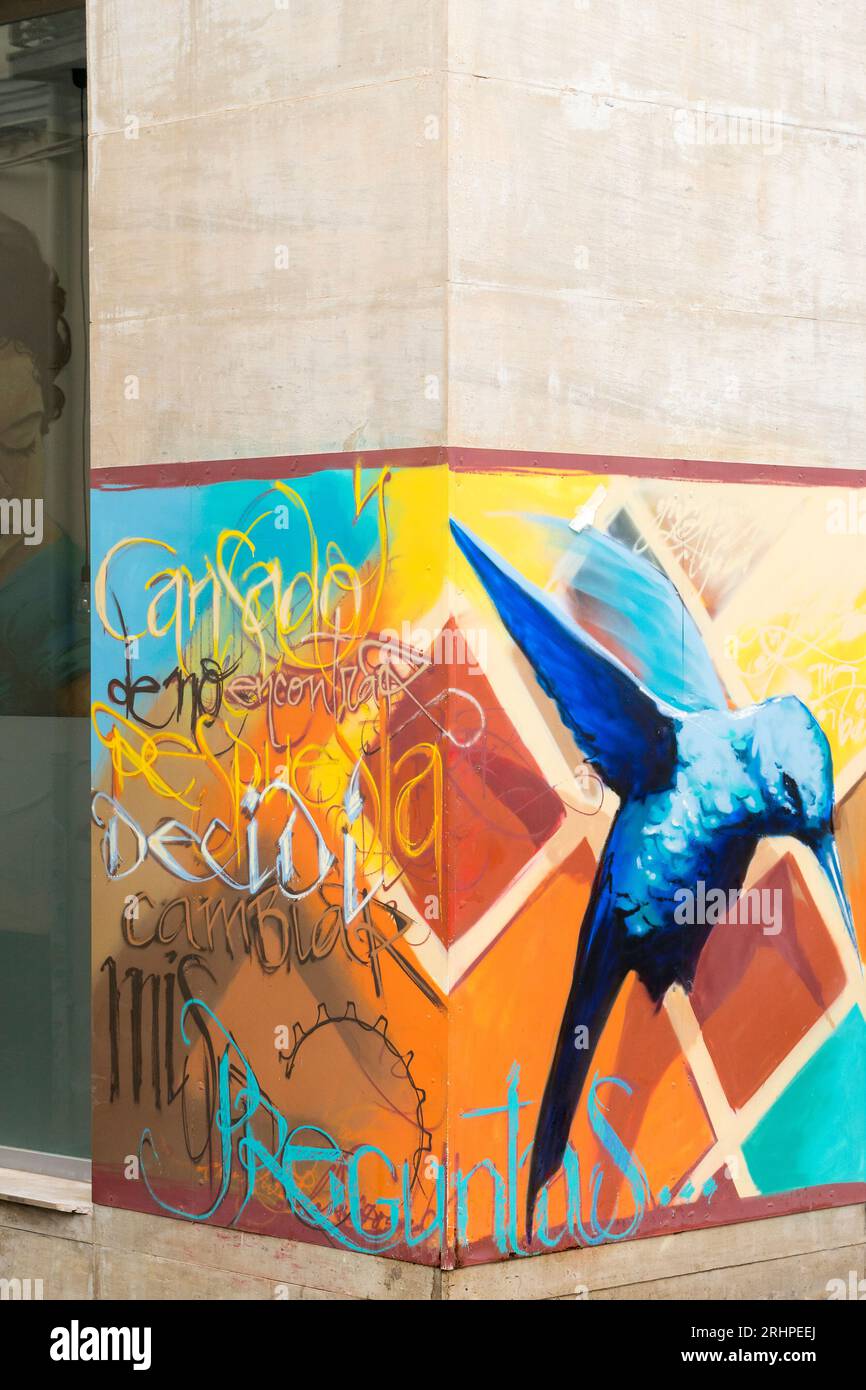 Spain, Andalusia, Granada, Realejo, street art, graffiti, artist: Raul