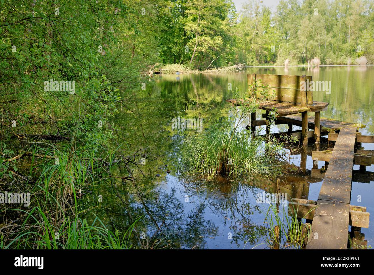 Europe, Germany, North Rhine-Westphalia, Rhein-Erft-Kreis, Erftstadt ...