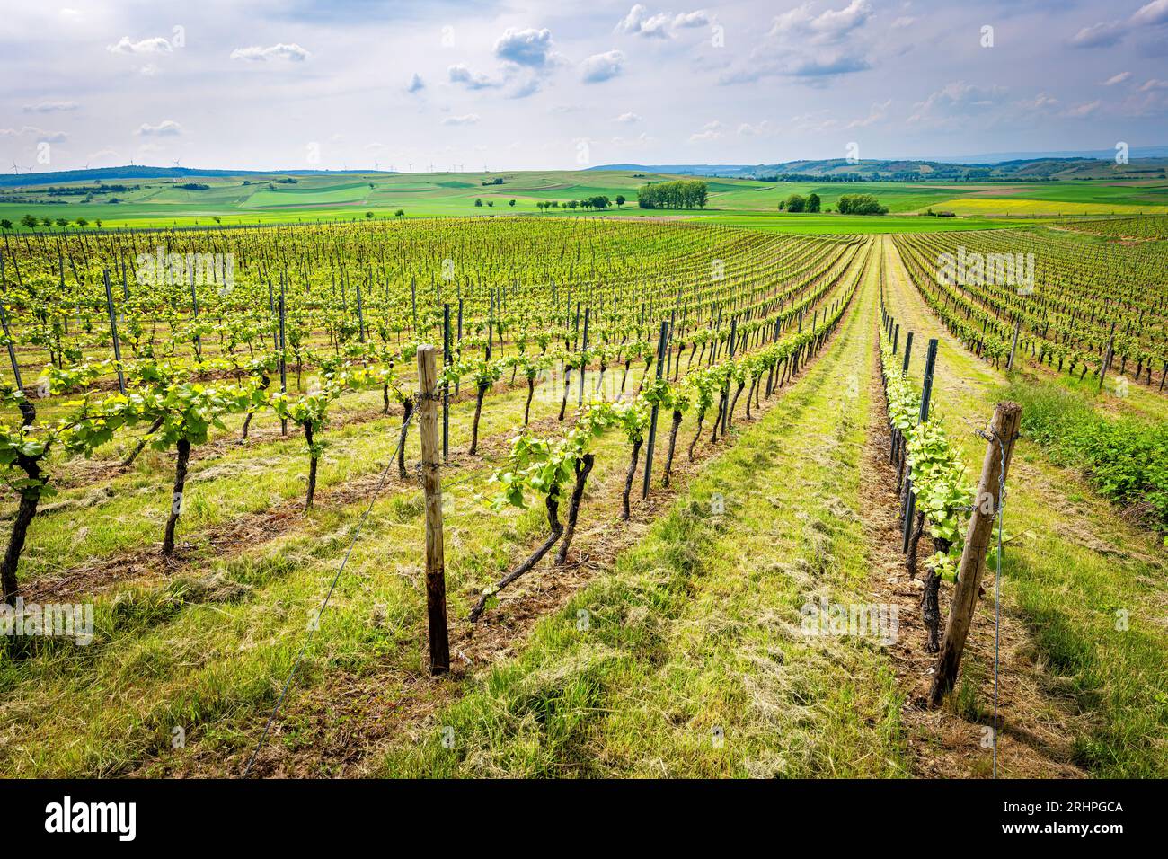 Gundersheim Wendelsheim hi-res stock photography and images - Alamy