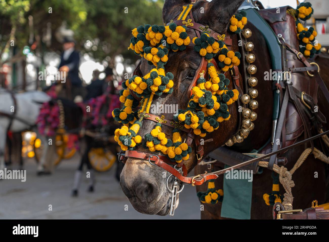 Witness Spain's rich cultural mosaic at the Malaga Fair. Horses, riders, and flamenco create a mesmerizing tableau, drawing visitors to this annual An Stock Photo