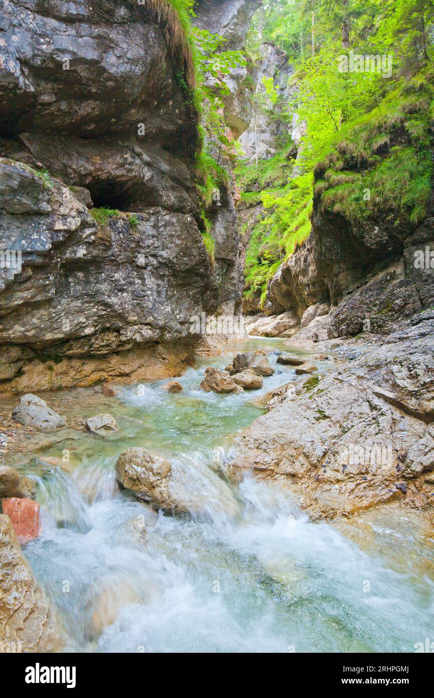 Seinsbach And Seinsbachklamm, An Undeveloped Torrent Near.