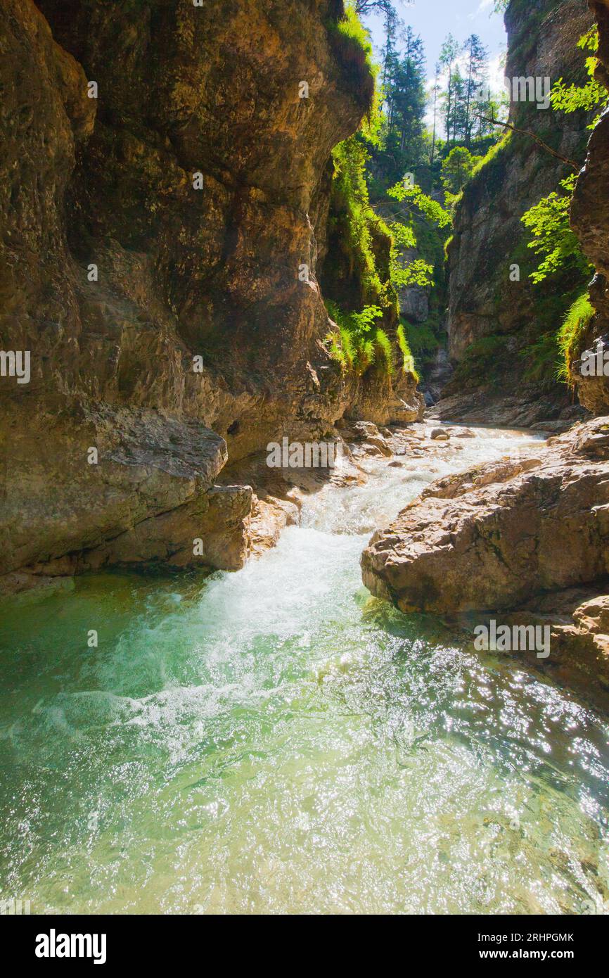 Seinsbach And Seinsbachklamm, An Undeveloped Torrent Near.