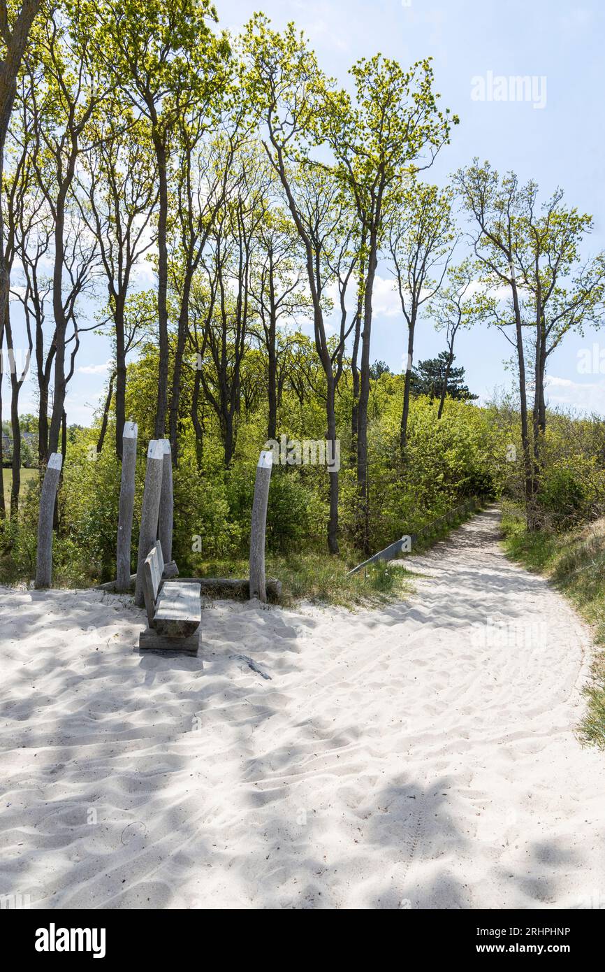 Germany, Baltic Sea, Markgrafenheide, white beach path, summer day ...