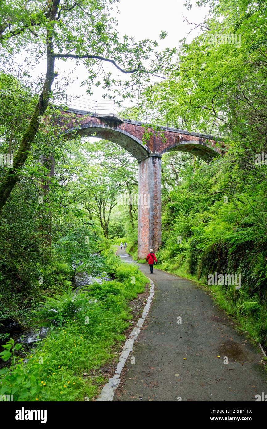 The impressive Talyllyn Railway viaduct over the Nant Dôlgoch stream