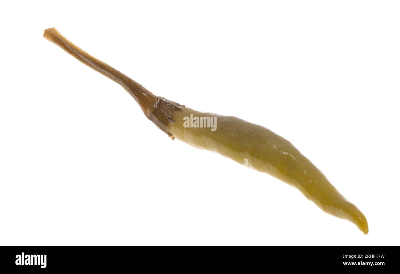 green chili pepper isolated on white background Stock Photo - Alamy