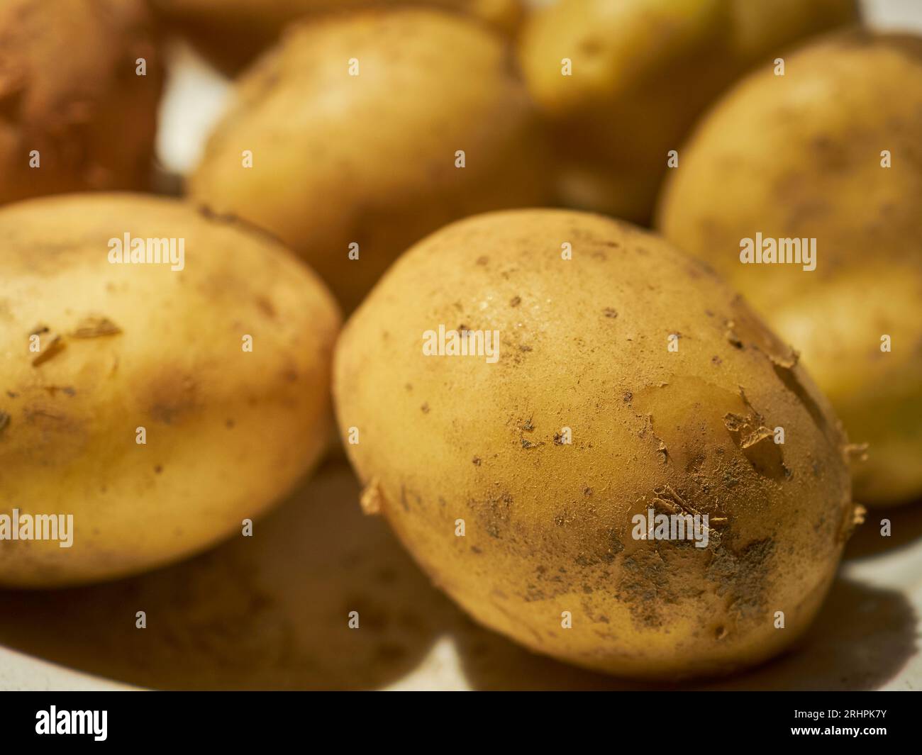 Fresh, raw yellow potatoes Stock Photo Alamy