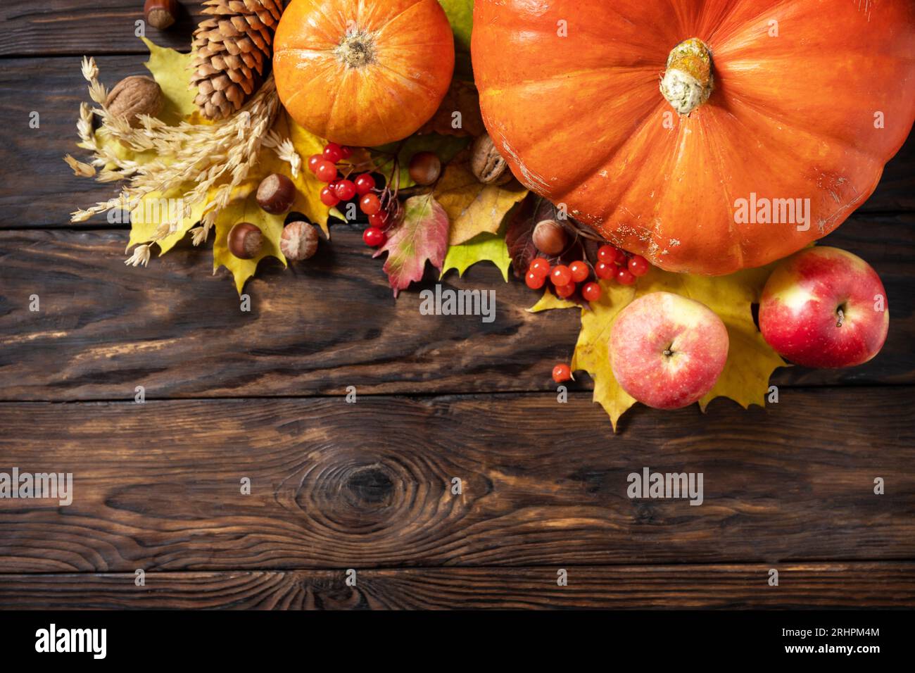 Autumn Day Thanksgiving or Halloween background. Festive autumn decor from ripe pumpkins, berries and leaves on a wooden background. View from above. Stock Photo