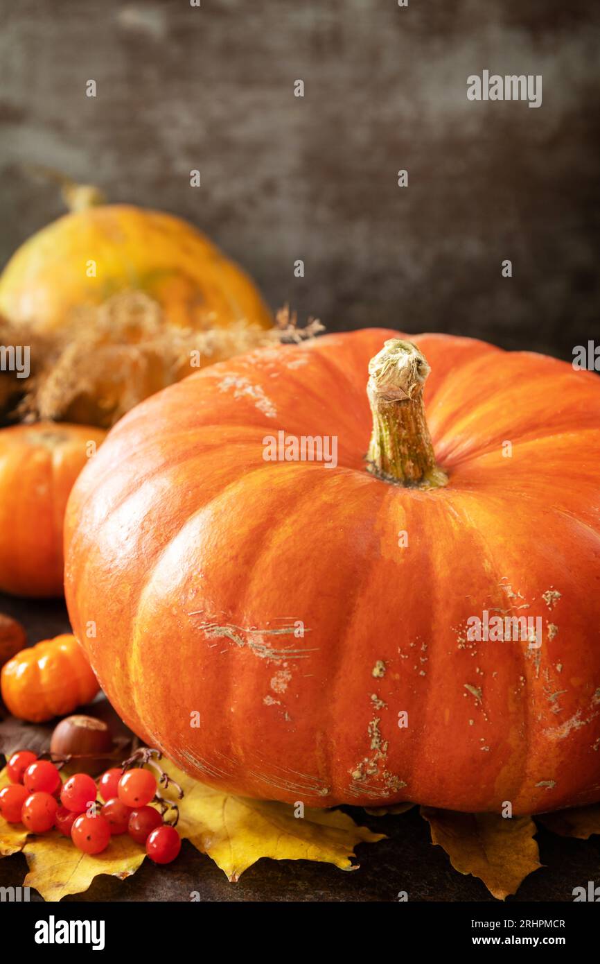Autumn Day Thanksgiving or Halloween background. Festive autumn decor from ripe pumpkins, berries and leaves on a wooden background. Copy space. Stock Photo