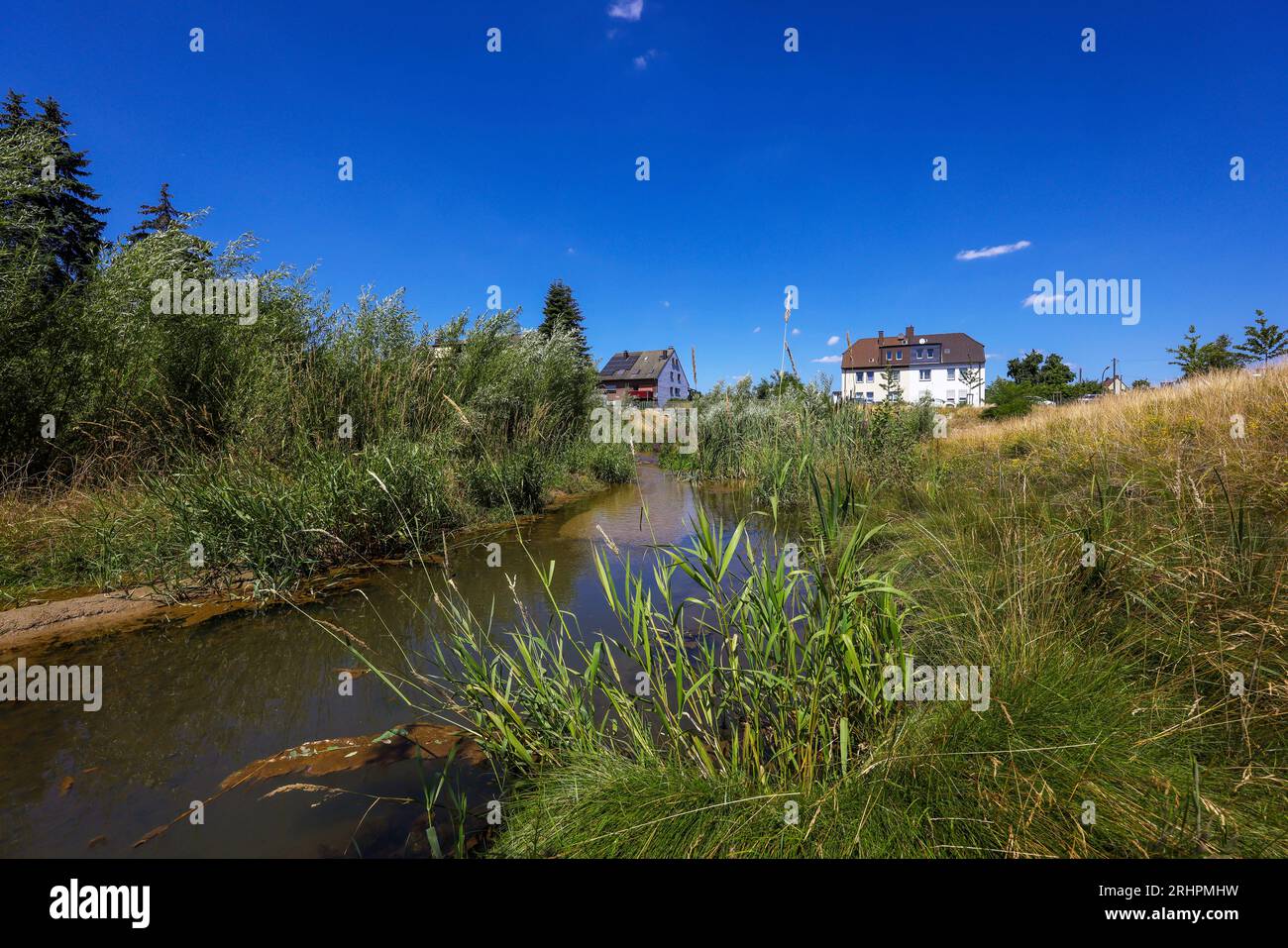 Recklinghausen, North Rhine-Westphalia, Germany - Renaturalized Hellbach, renaturalized watercourse Stock Photo