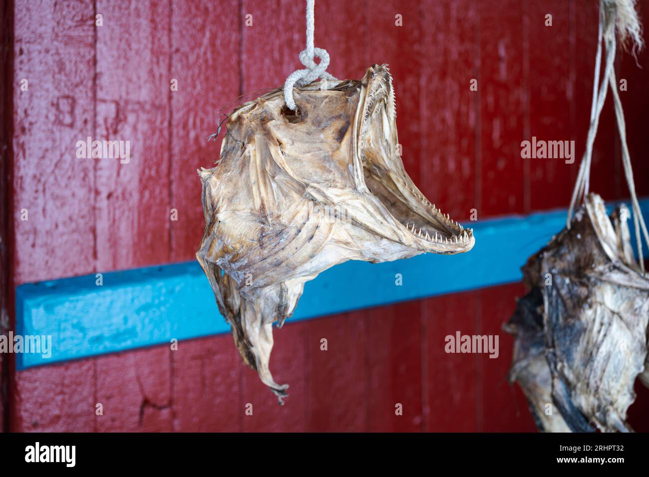 dried fish, ae, fishing village, Lofoten, Norway, winter Stock Photo