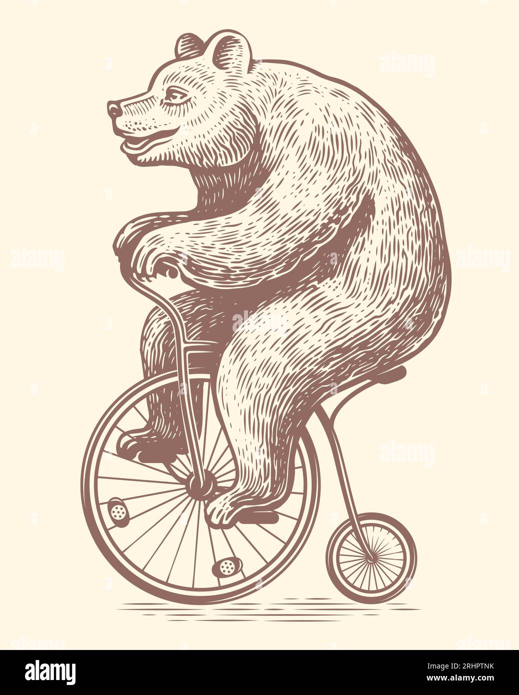 Bear rides a retro bicycle drawn in vintage engraving style. Circus show. Sketch vector illustration Stock Vector