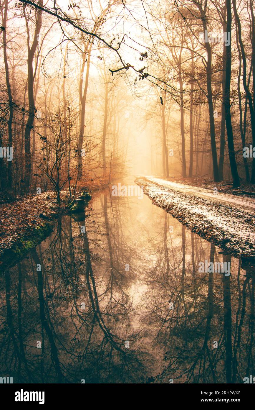 Beautiful winter photo in forest, morning sun, fog, light snowfall and reflection of winter trees in a river Stock Photo