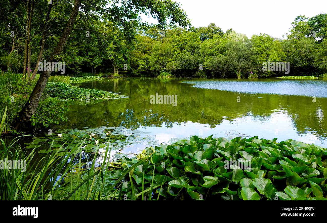 Acton Park lake, Wrexham, UK Stock Photo