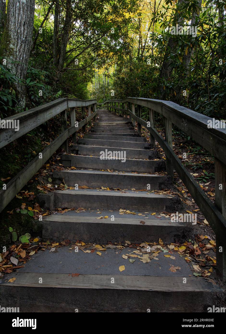 Steps lead up the mountain toward Mingo Falls. Stock Photo