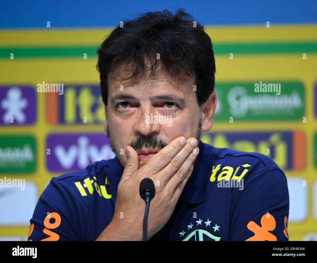 The new coach of the Brazilian national soccer team, Fernando Diniz