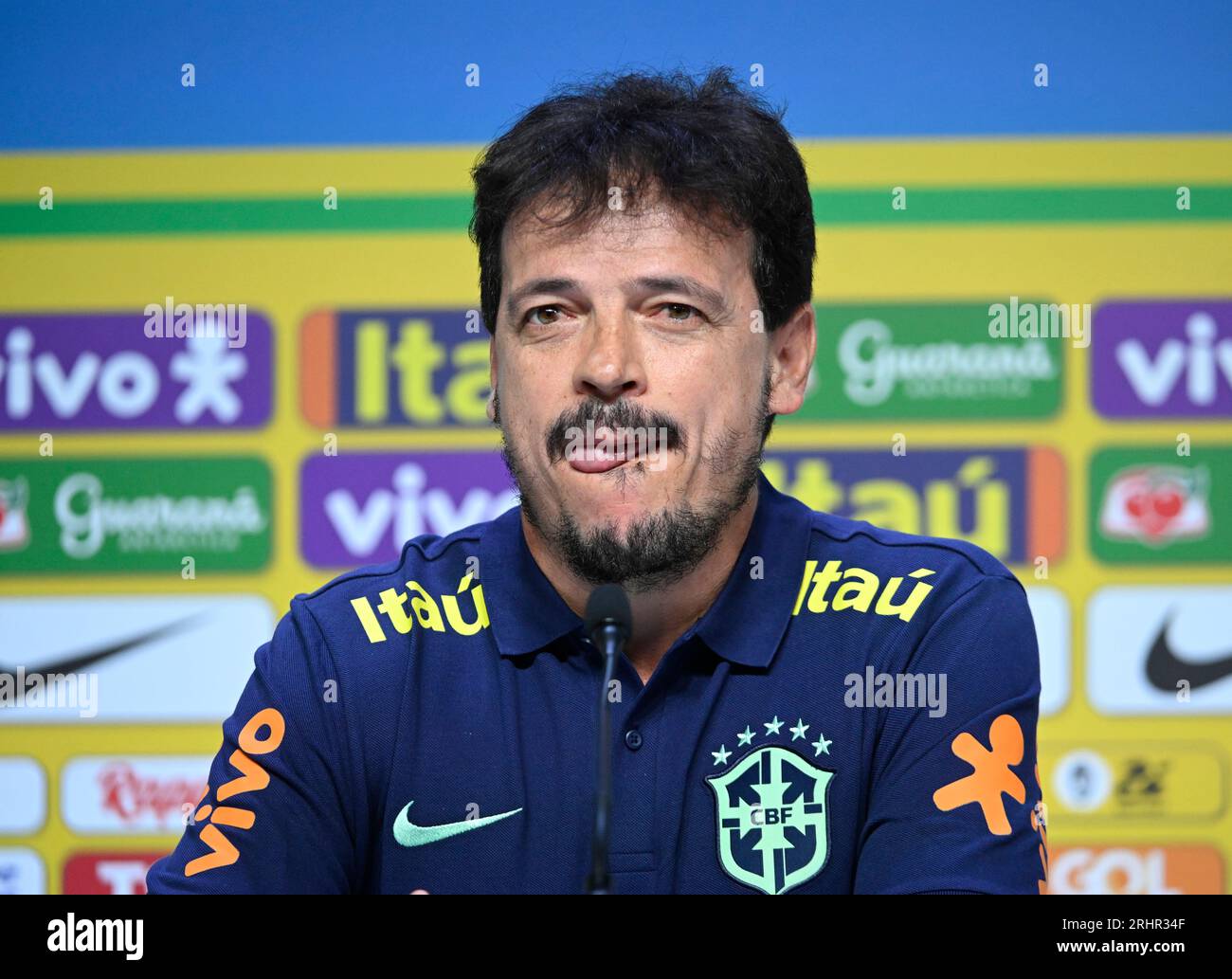 The new coach of the Brazilian national soccer team, Fernando Diniz