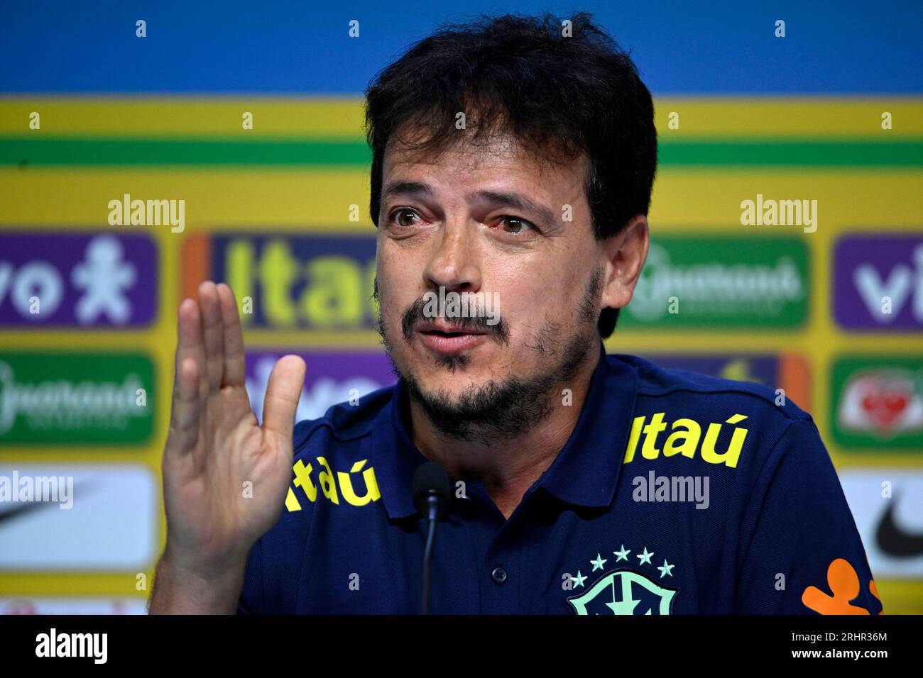 The new coach of the Brazilian national soccer team, Fernando Diniz