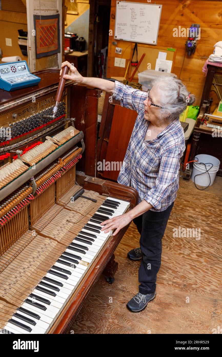 A female piano tuner at work, Morrill, Waldo County, midcoast Maine, USA. Stock Photo