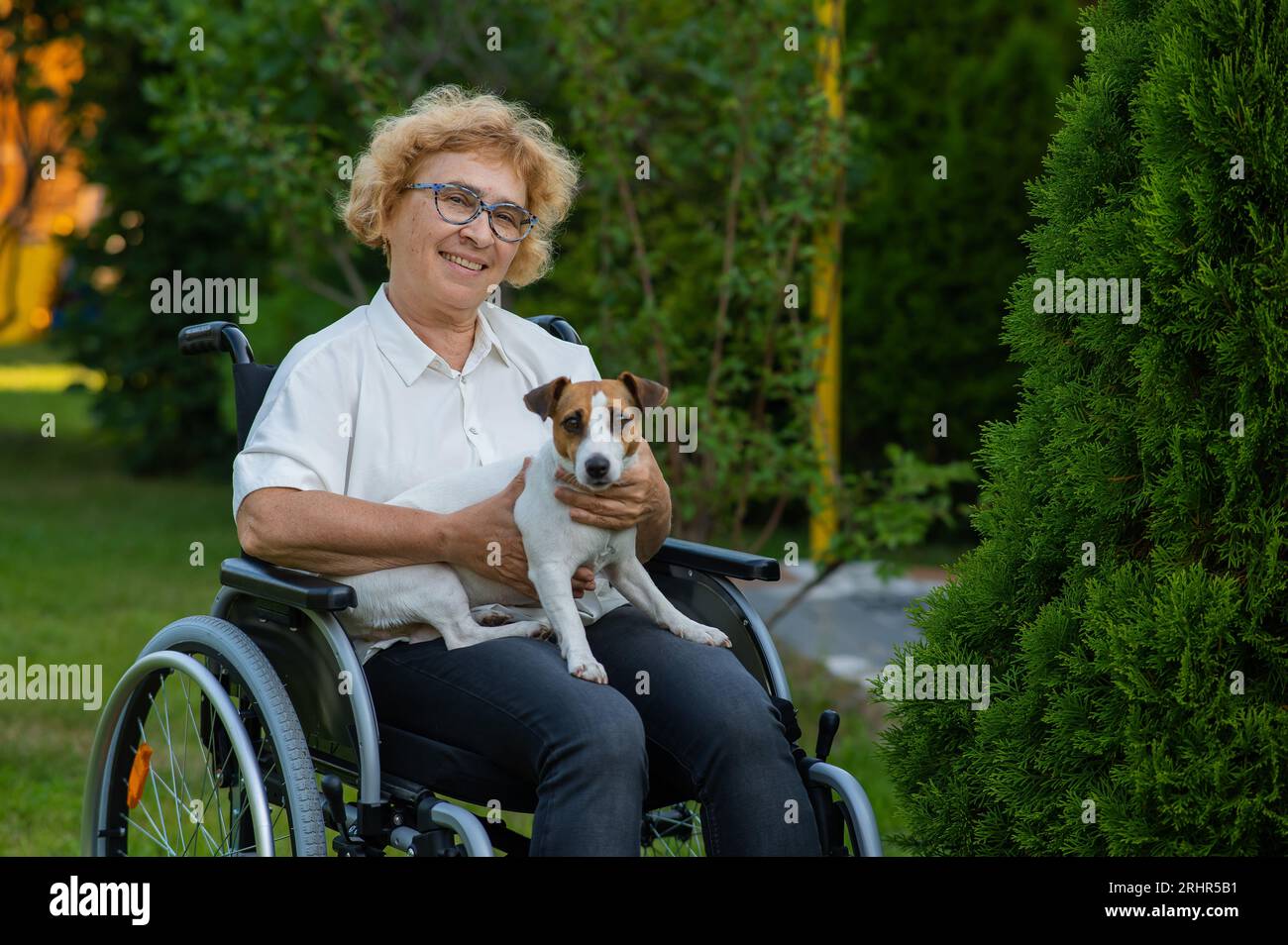 Elderly caucasian woman hugging a jack russell terrier dog while
