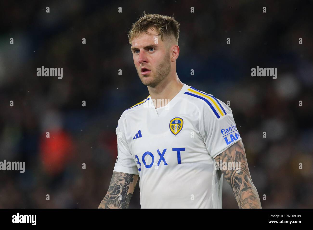 Tottenham Leeds West Brom Leeds Game Channel Joe Rondon #14 Of