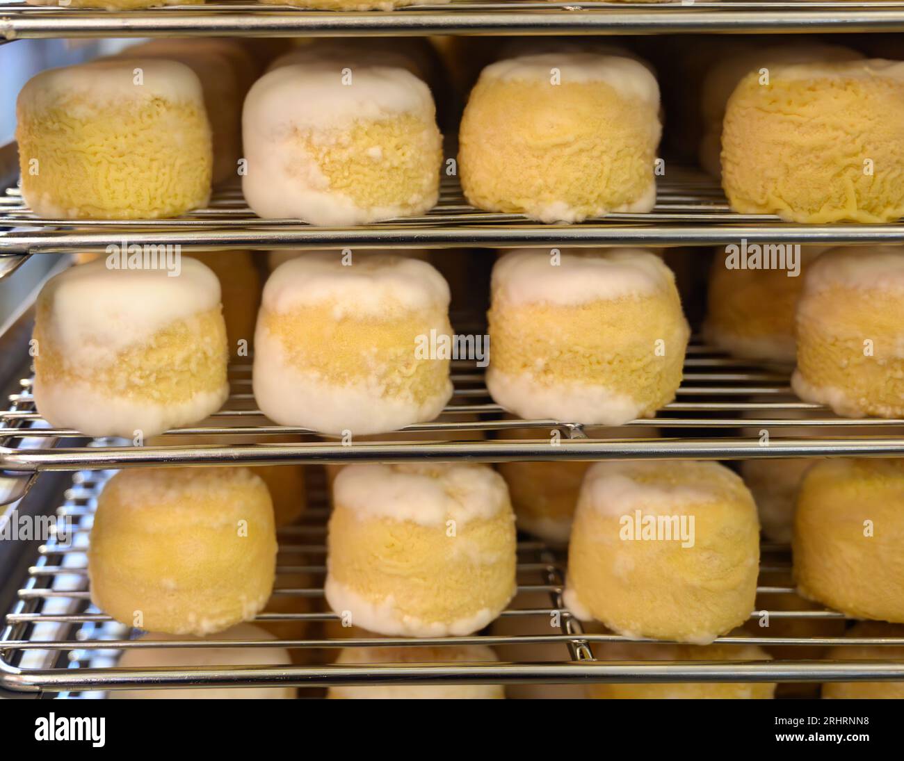 Cheese collection, soft goat French cheese with mold crottin de